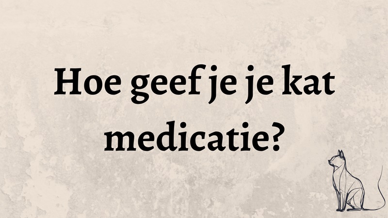 Medicatie toedienen aan de&nbsp;kat