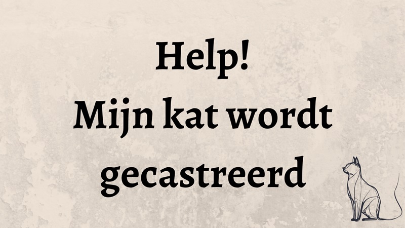 Tips & tricks voor rond de castratie